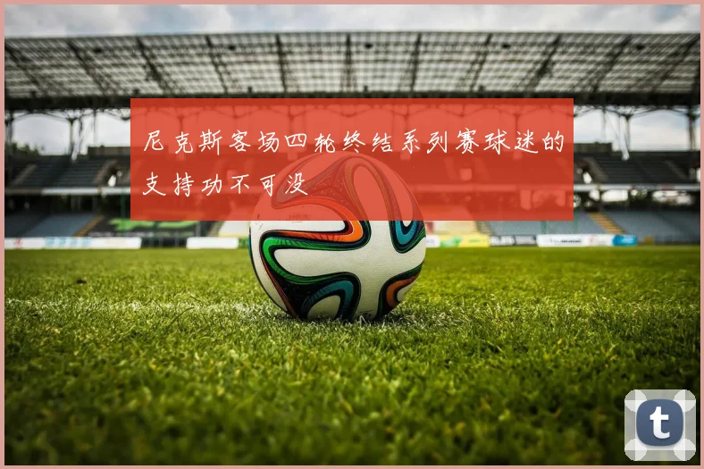 尼克斯客场四轮终结系列赛球迷的支持功不可没