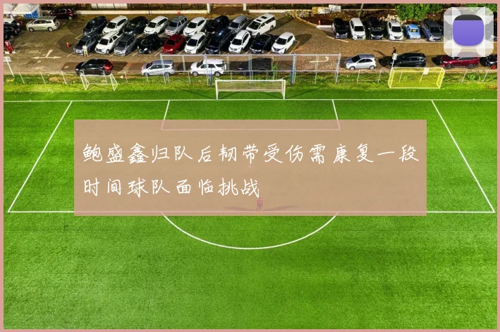 鲍盛鑫归队后韧带受伤需康复一段时间球队面临挑战