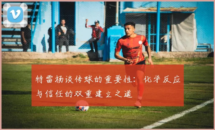 特雷杨谈传球的重要性：化学反应与信任的双重建立之道